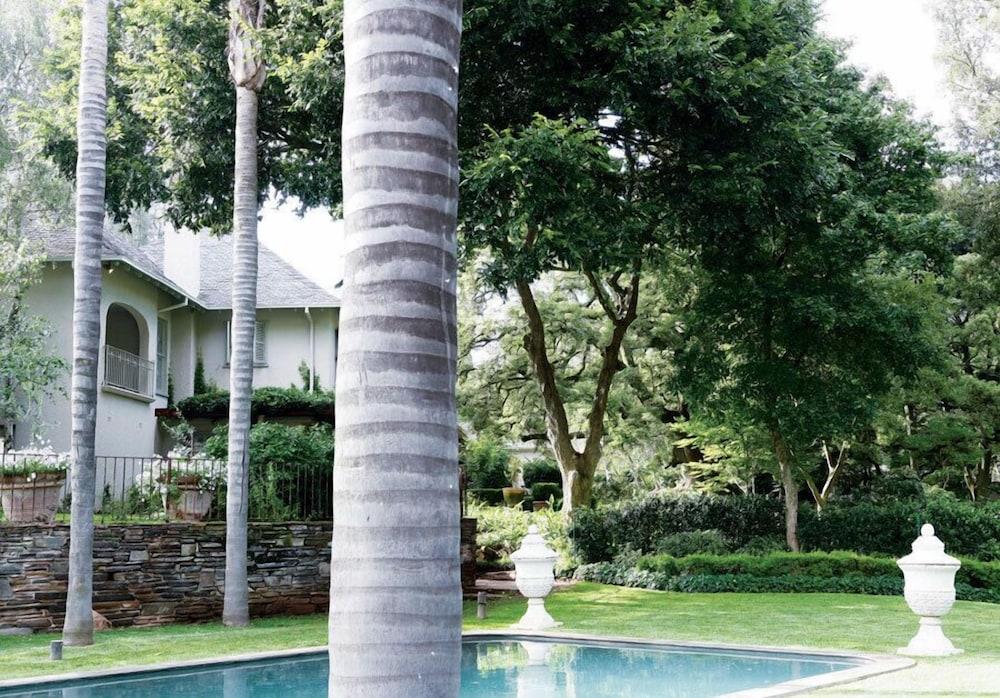 Hoeveld House - Outdoor Pool
