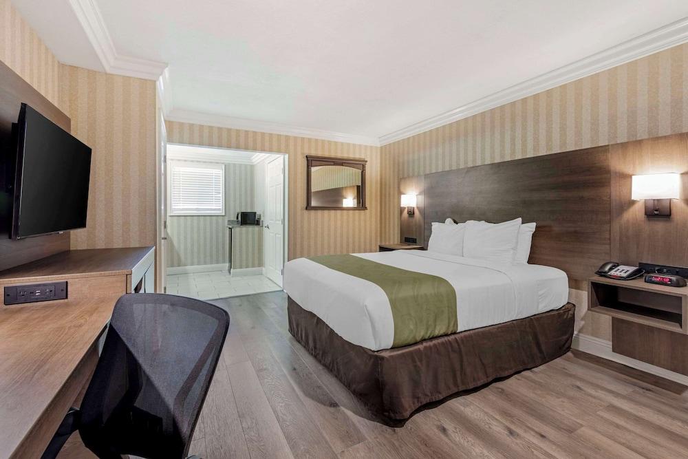 Quality Inn & Suites Anaheim Maingate - Room
