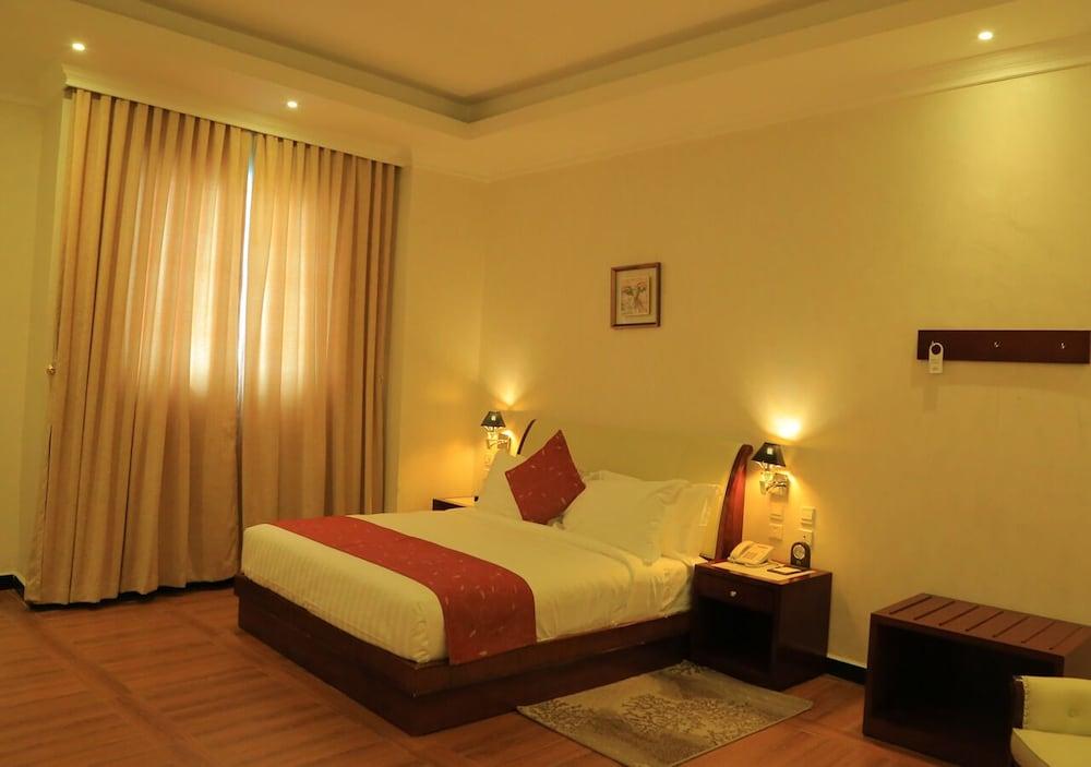 BON Plaza Hotel Addis Ababa - Room