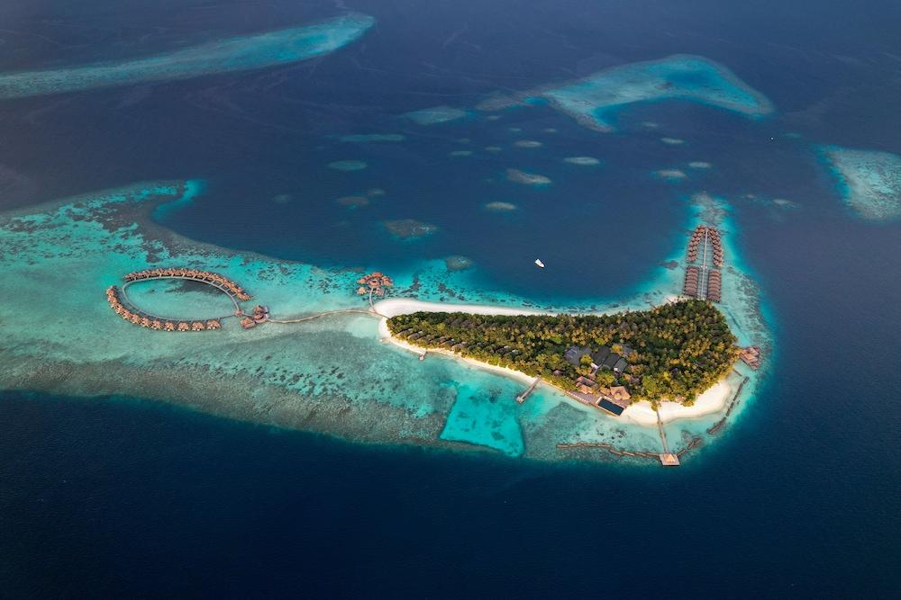 Coco Bodu Hithi - Featured Image