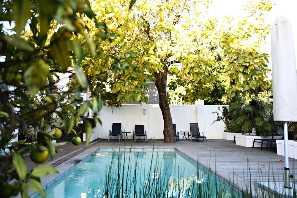 Ashbourne Boutique Guesthouse - Outdoor Pool