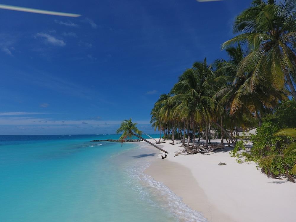 Fiyavalhu Resort Maldives - Beach