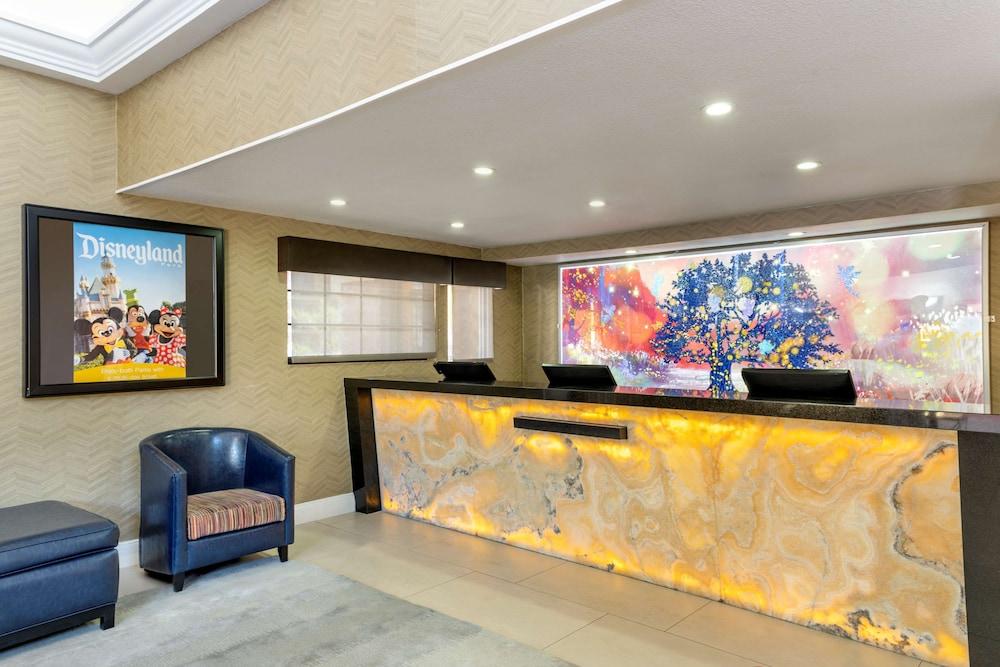 Best Western Plus Raffles Inn & Suites - Lobby