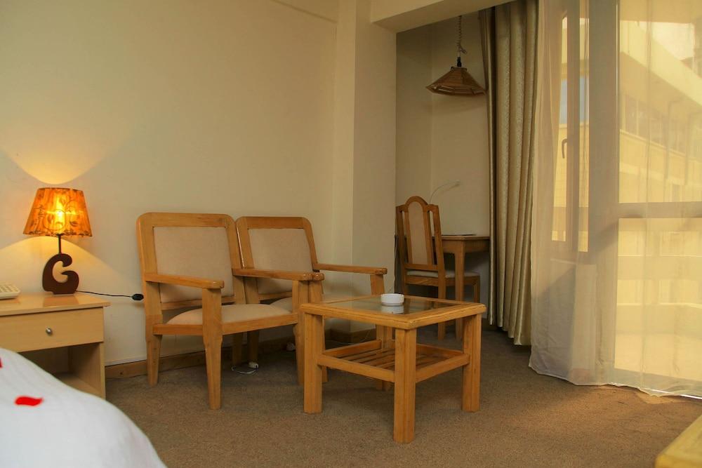 Axum Hotel Addis - Room