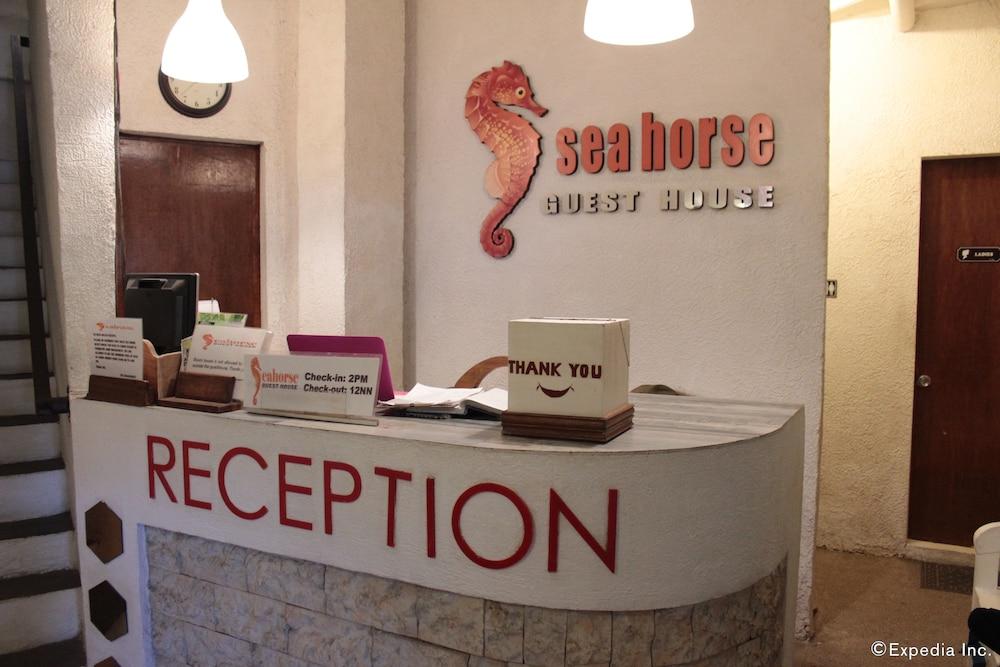 Sea Horse Guest House - Featured Image