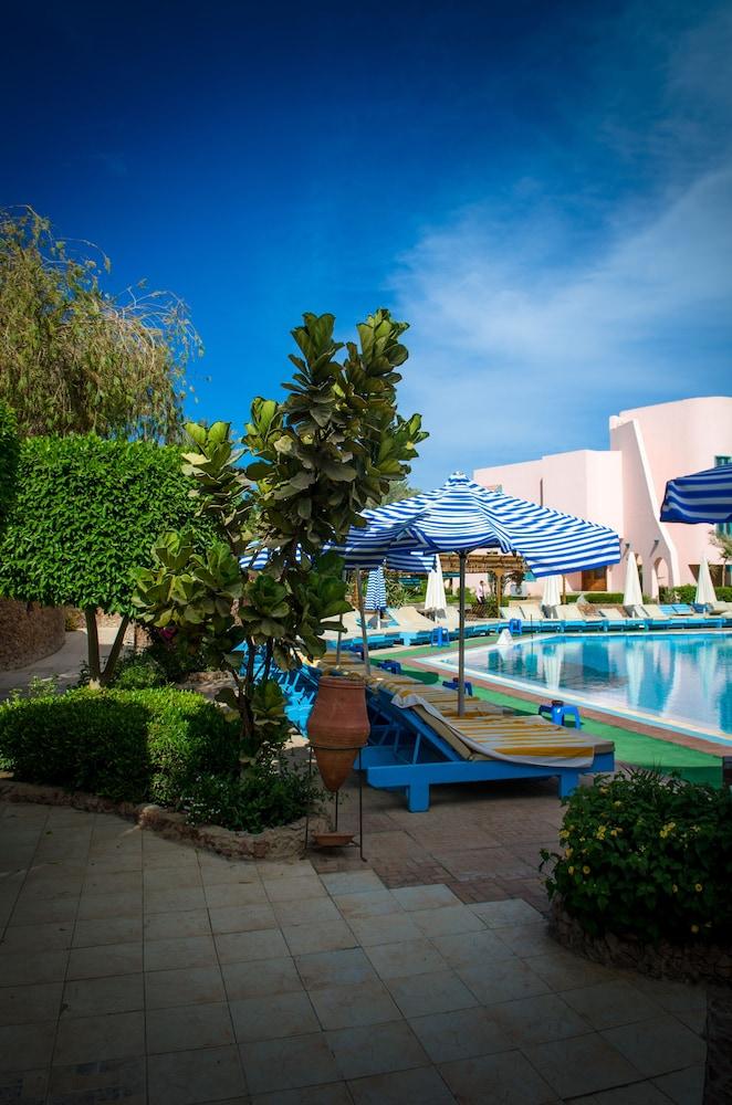 Zahabia Resort & Hotel - Outdoor Pool