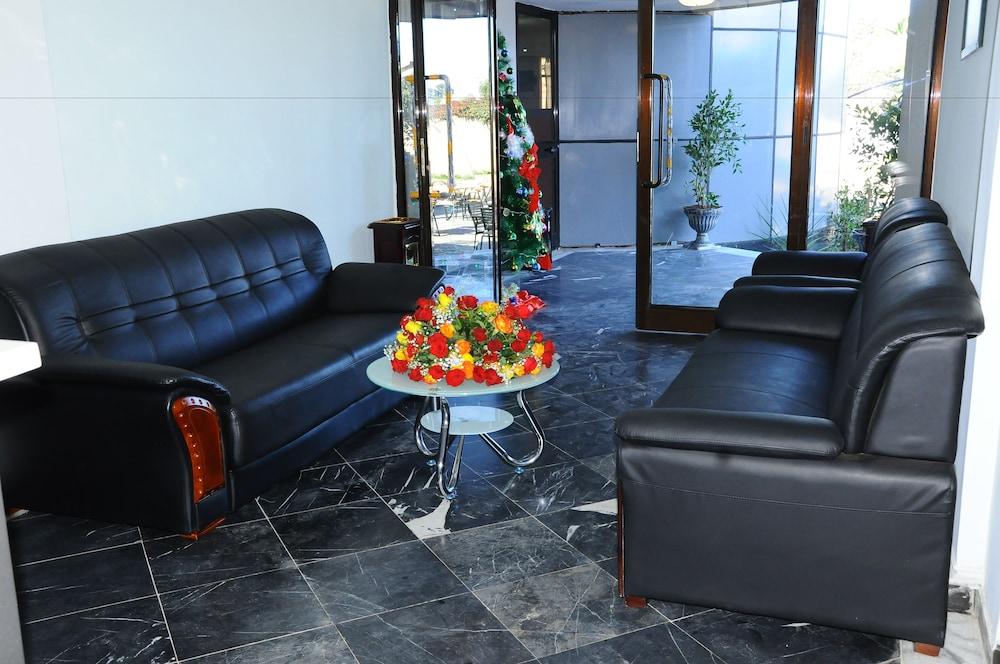 North Addis Hotel - Lobby Sitting Area