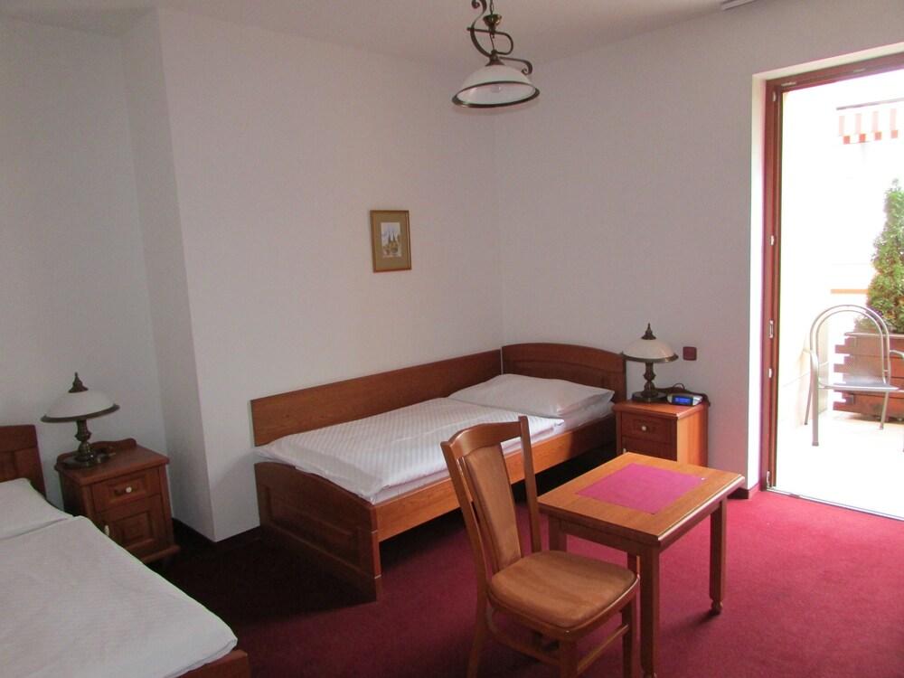 Hotel Pegas Brno - Room
