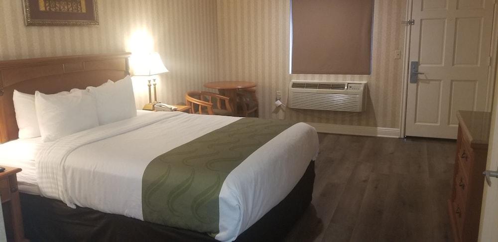 Quality Inn & Suites Anaheim Maingate - Room