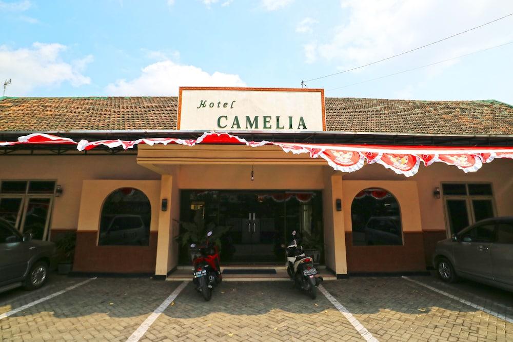 Camelia Hotel - Hotel Entrance