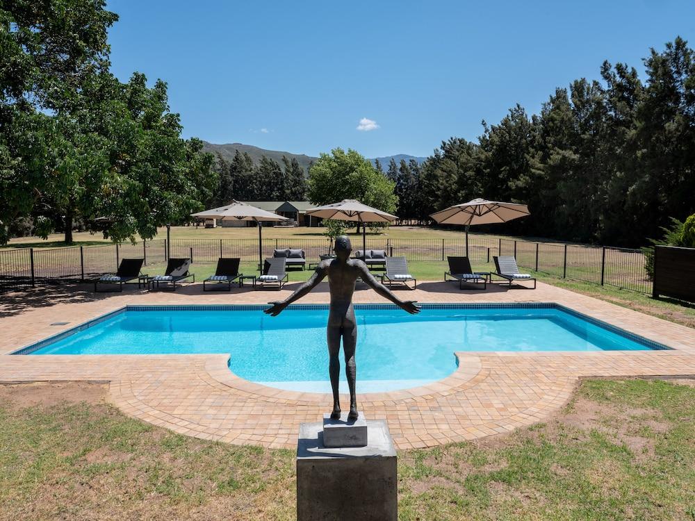 Lynx Wine Estate - Outdoor Pool