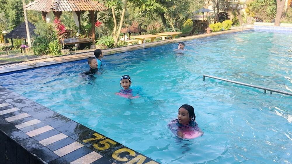 Padi Heritage Hotel - Outdoor Pool