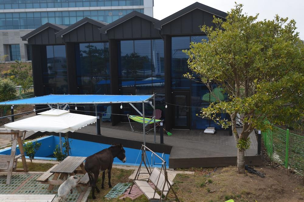 Donkey and Dog - Outdoor Pool