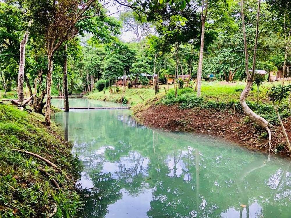 Mount Avangan Eco Adventure Park - Property Grounds