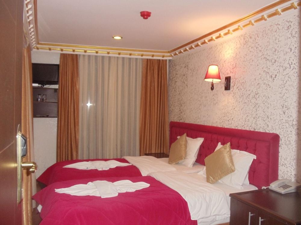 Ares Hotel Sultanahmet - Room