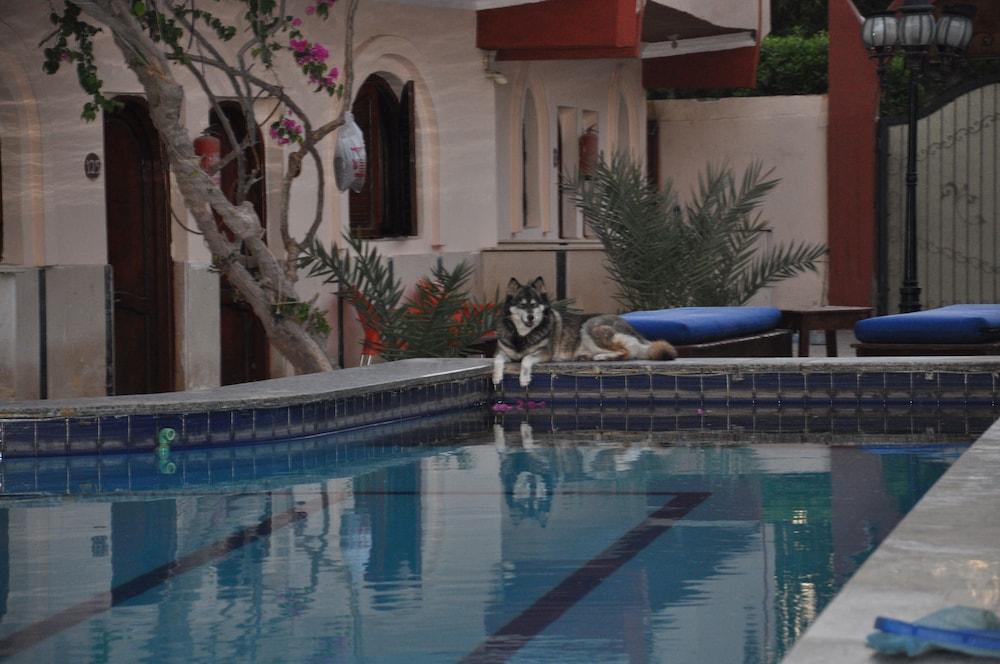 Dahab Plaza Hotel - Pool