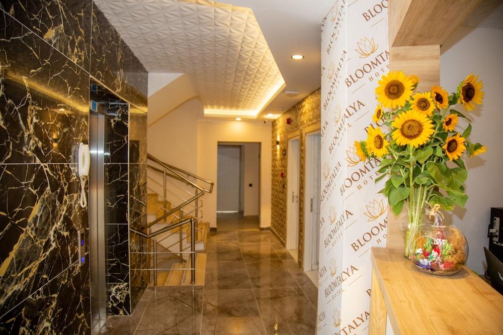 Bloomtalya Hotel - Reception