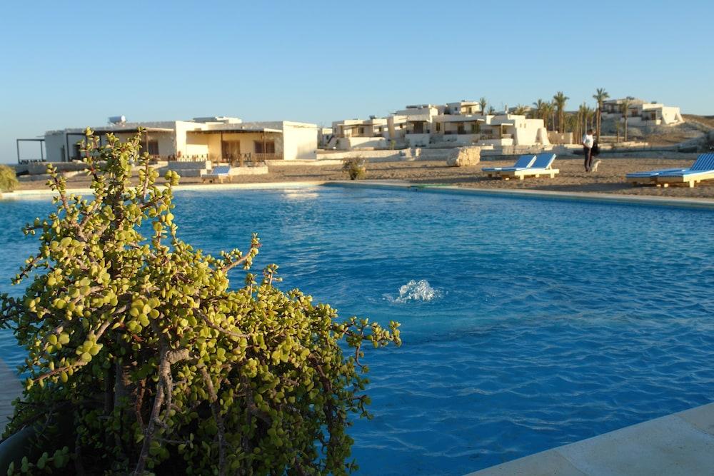 The Oasis Dive Resort - Outdoor Pool