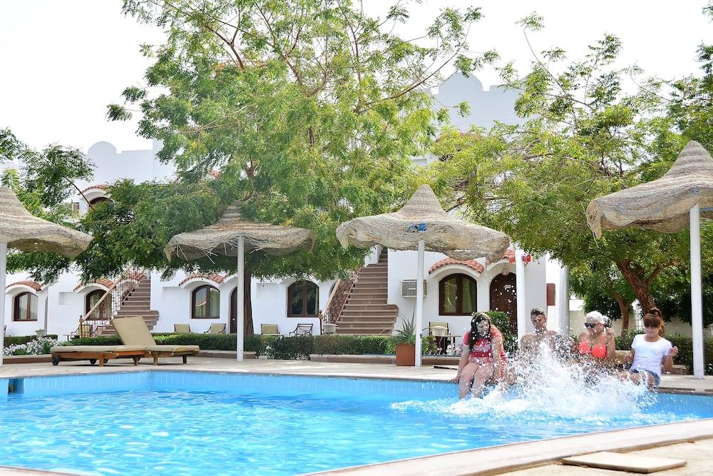 فندق ديزرت فيو شرم الشيخ - Outdoor Pool