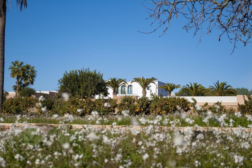 Safragell Ibiza Suites & Spa - Property Grounds