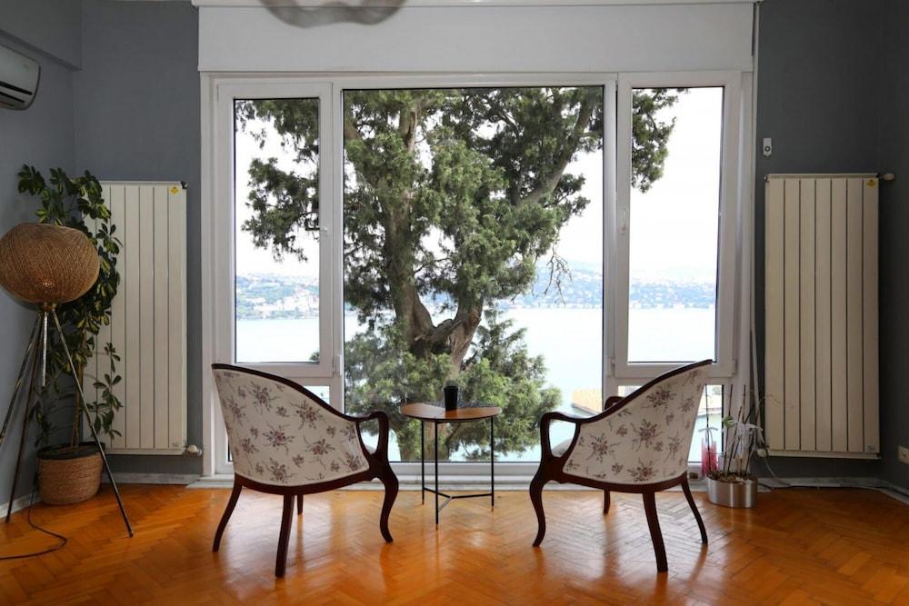 Splendid Flat With Bosphorus View in Besiktas - Room