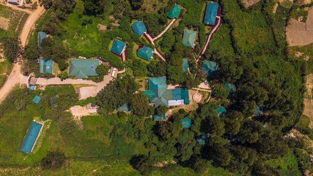 Gorilla Safari Lodge - Featured Image