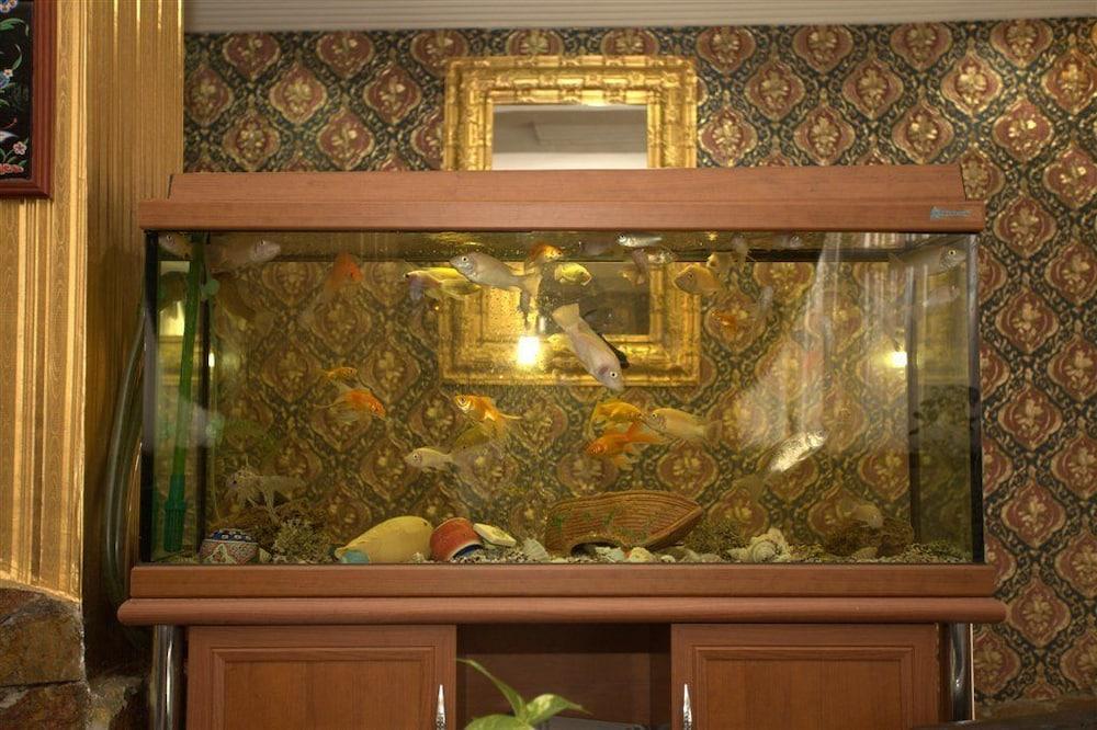 Aquarium Hotel - Interior Detail