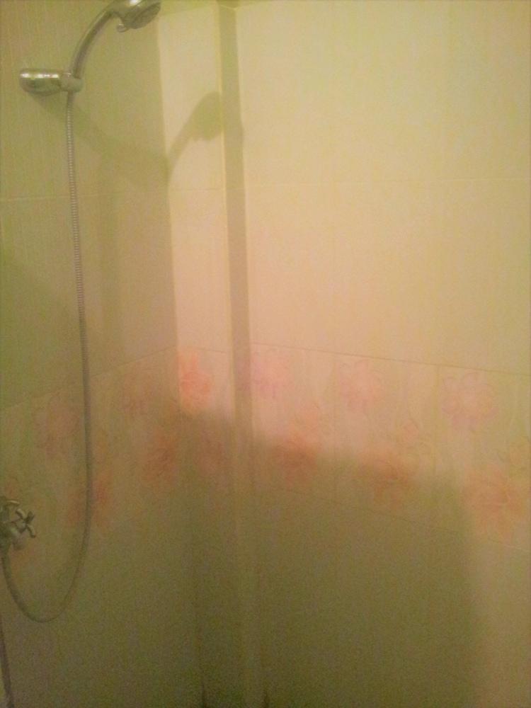 Bamboo Homestay - Bathroom Shower