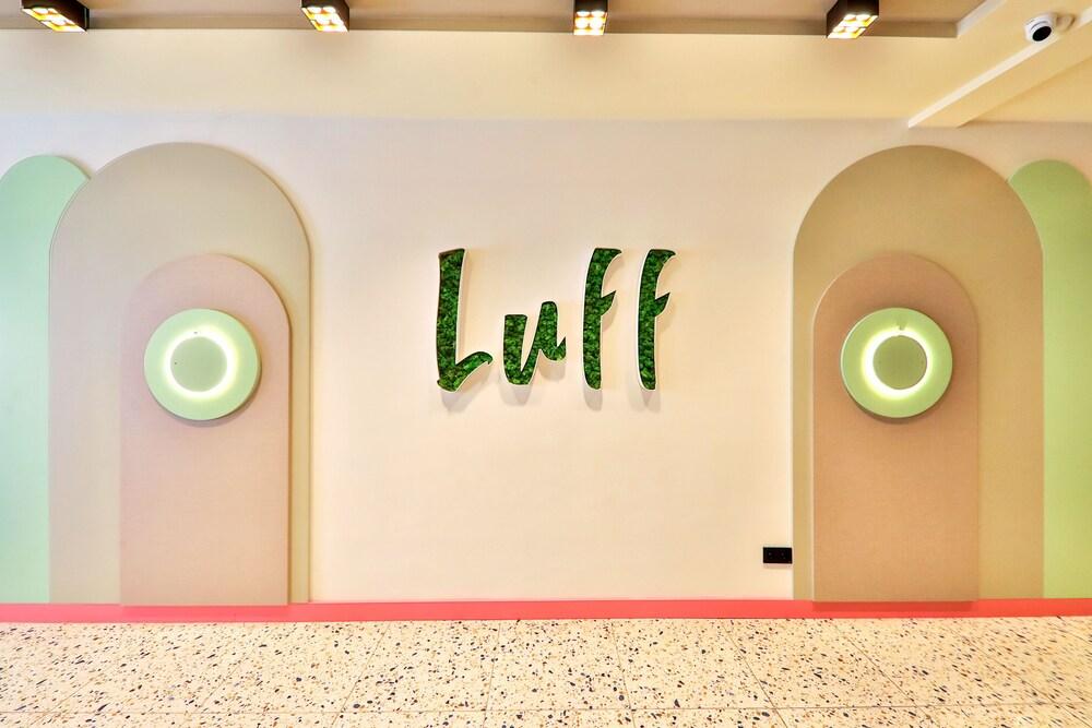 Luff Suites - Reception