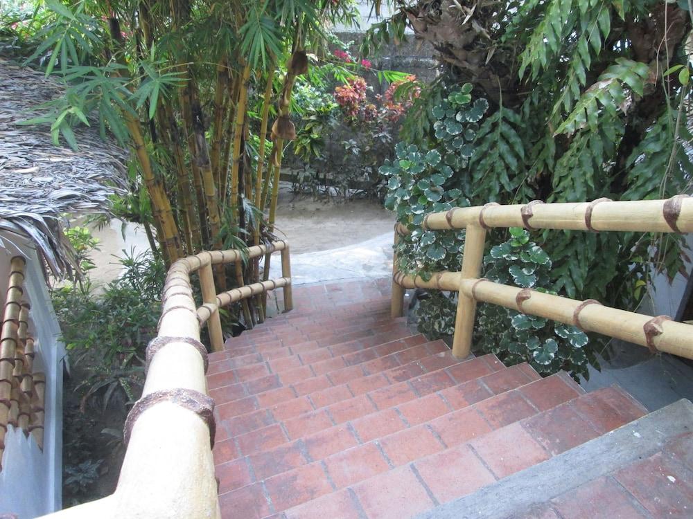 Bamboo Bungalows - Property Grounds