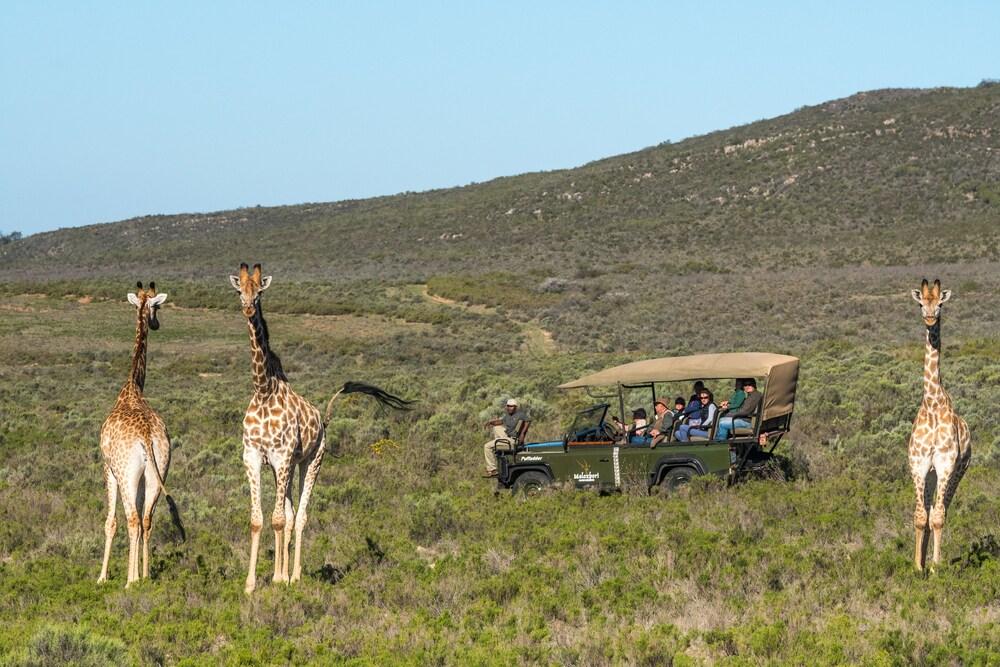 Melozhori Game Reserve - Featured Image