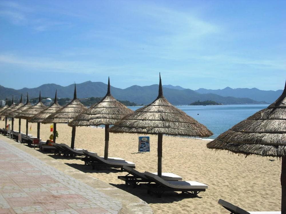 Aquatic Ocean Hotel - Beach