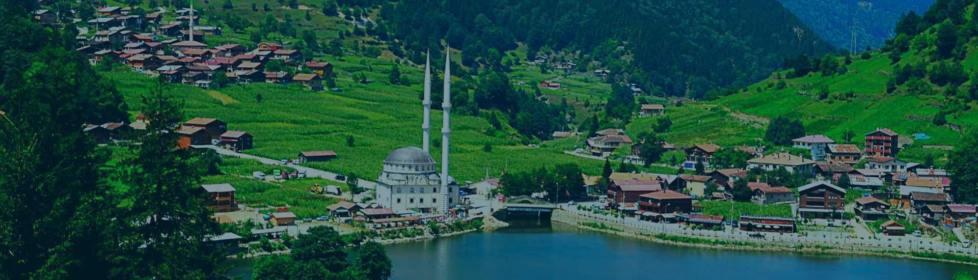 Book Flights From Trabzon